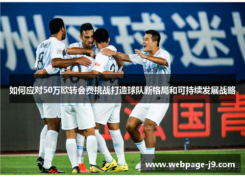 如何应对50万欧转会费挑战打造球队新格局和可持续发展战略